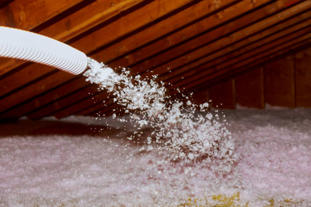 Best Blown-in Insulation in Poinciana, FL