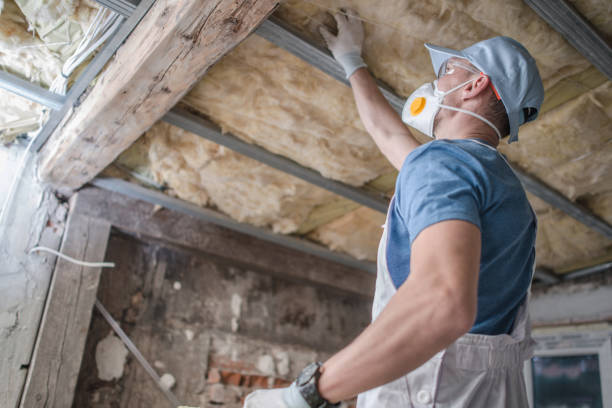 Best Spray Foam Insulation in Poinciana, FL