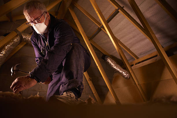 Trusted Poinciana, FL Insulation Contractor Experts